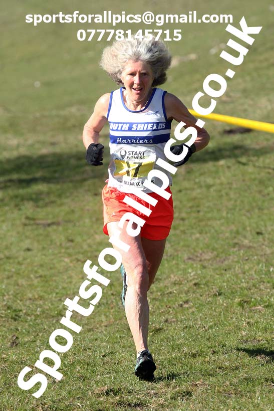 Masters men 2021 NECAA Cross Country Relays, Thornley Farm, Peterlee, Saturday, April 10th. Photo: David T. Hewitson/Sports for All Pics